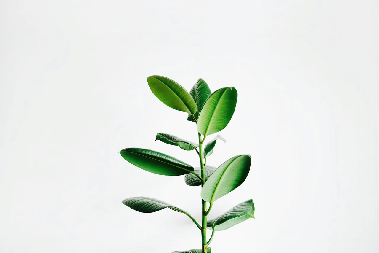 Editorial photograph for Cannabis Consumer Safety: Labels, Storage, Impairment and Responsible Decisions
